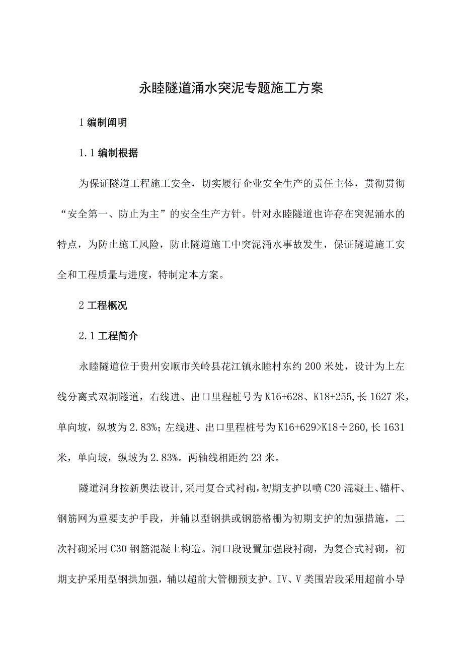 涌水突泥专项施工方案.docx_第2页