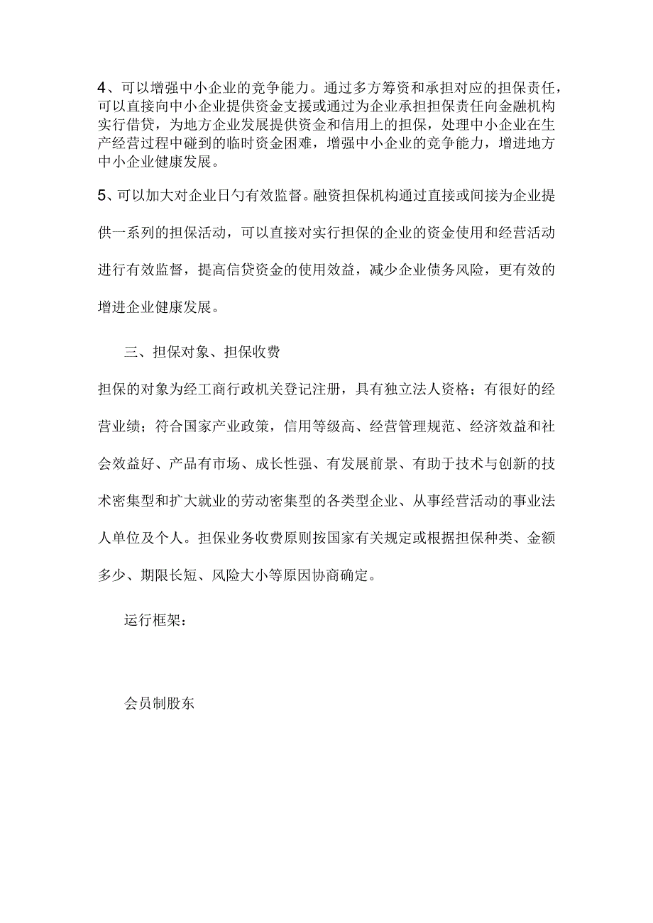 投资担保公司运营方案.docx_第2页