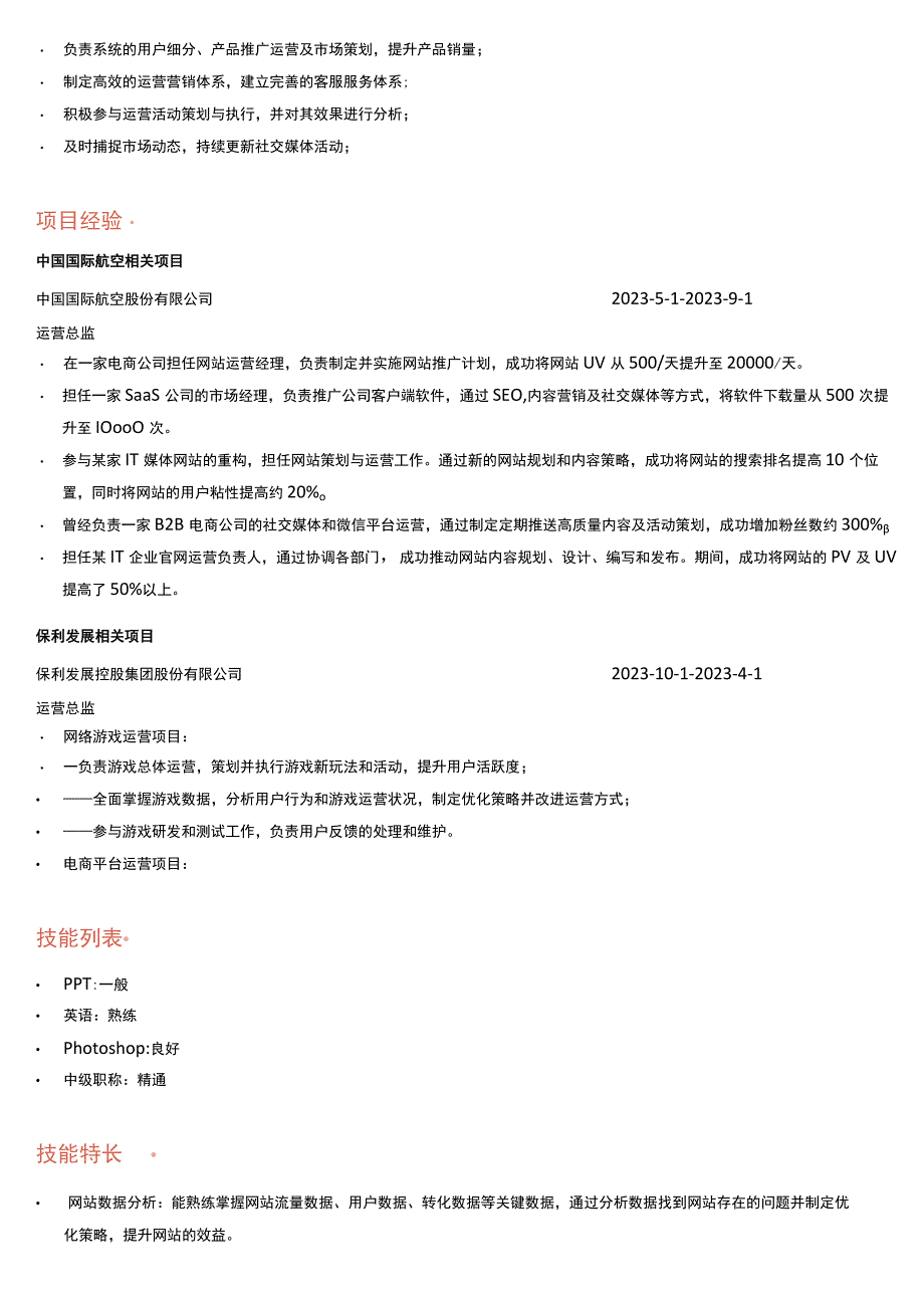 网络公司运营总监岗位简历模板.docx_第2页