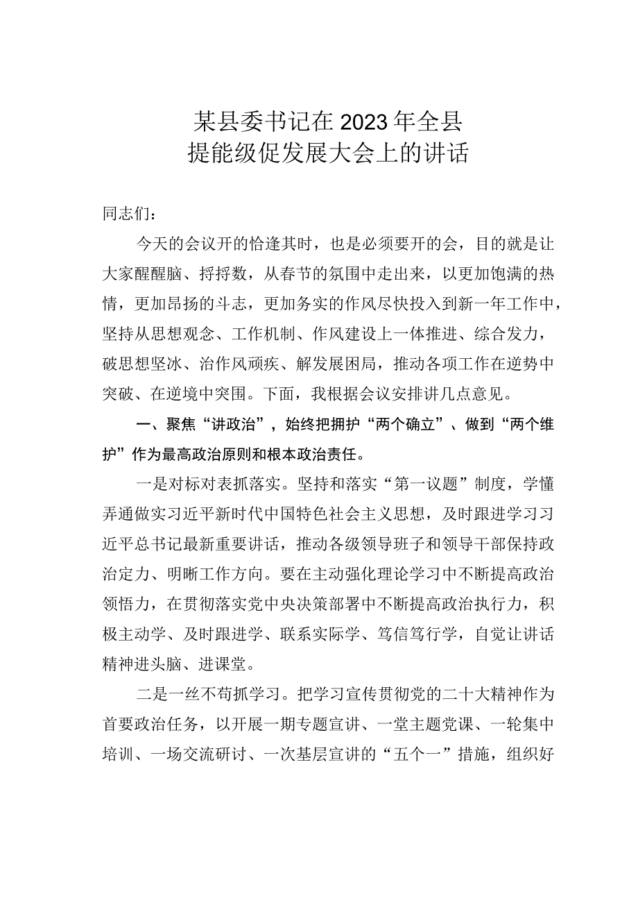 某县委书记在2023年全县提能级促发展大会上的讲话.docx_第1页