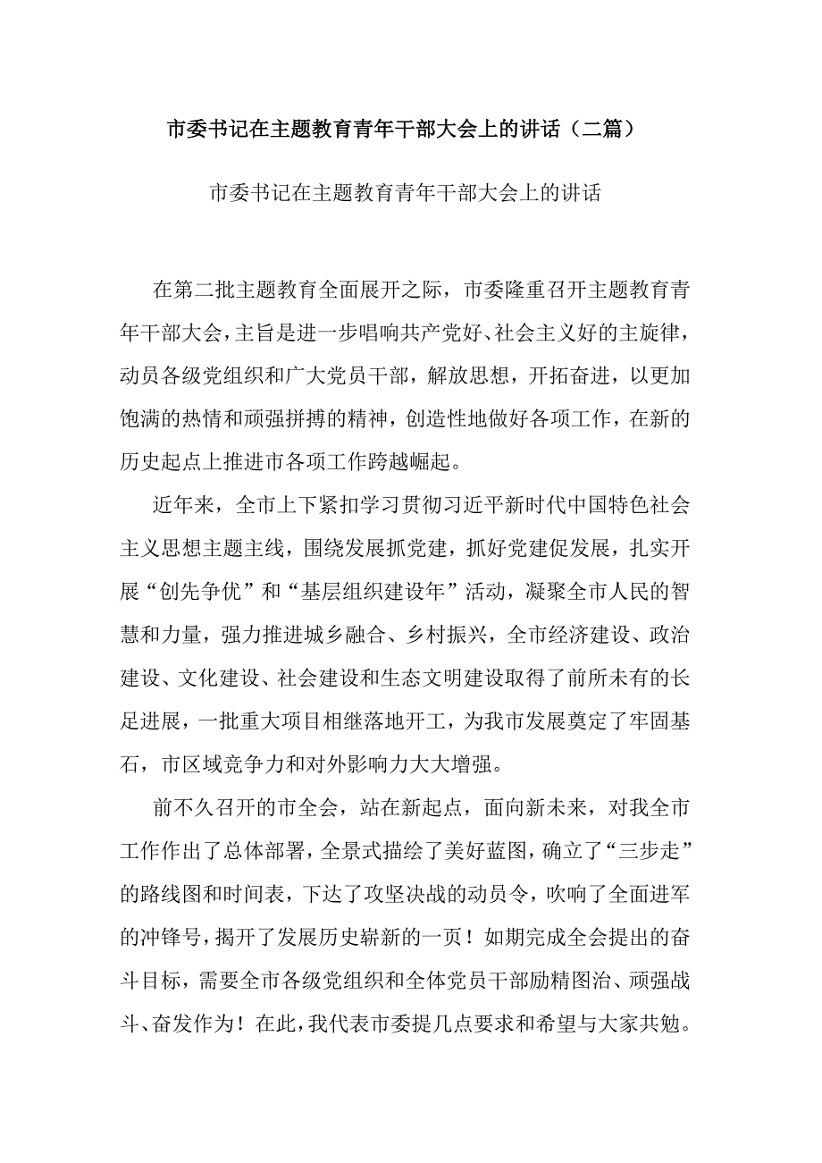 市委书记在主题教育青年干部大会上的讲话(二篇).docx_第1页