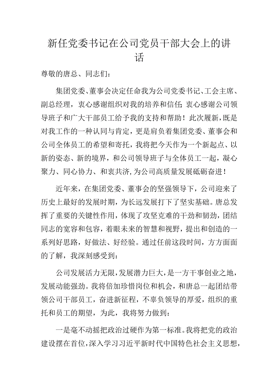 新任党委书记在公司党员干部大会上的讲话.docx_第1页