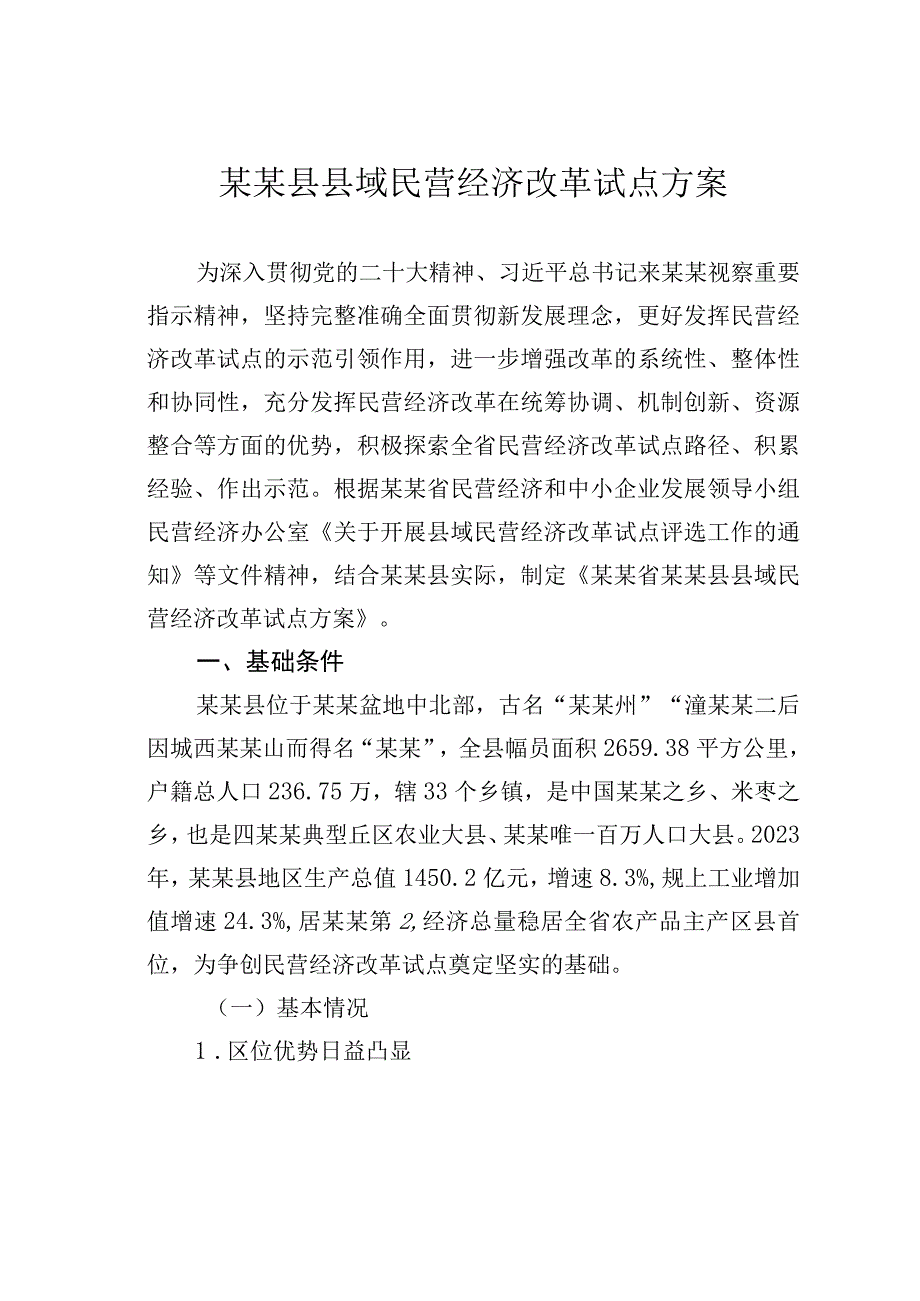 某某县县域民营经济改革试点方案.docx_第1页