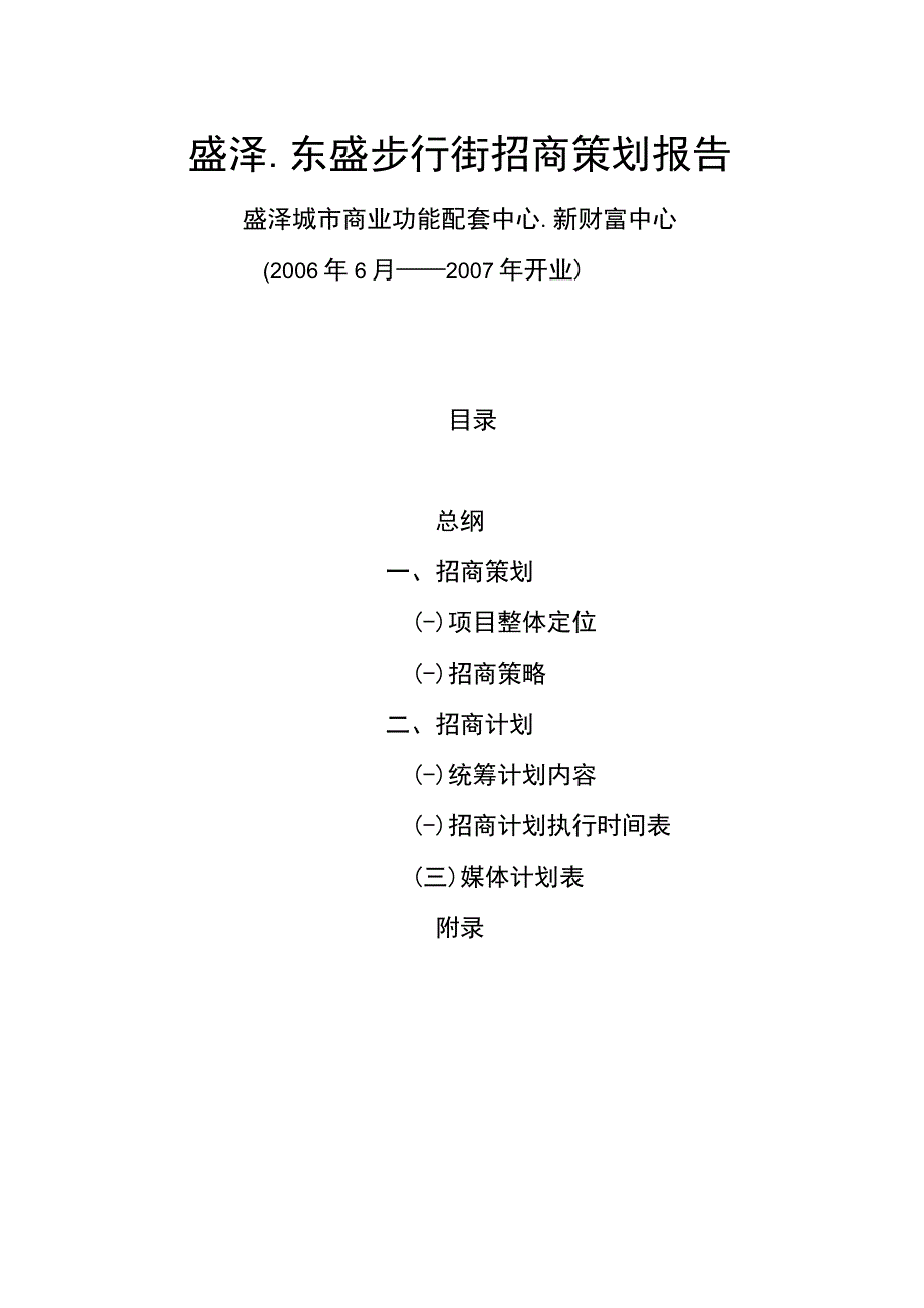 苏州盛泽.东盛步行街招商策划报告.docx_第2页