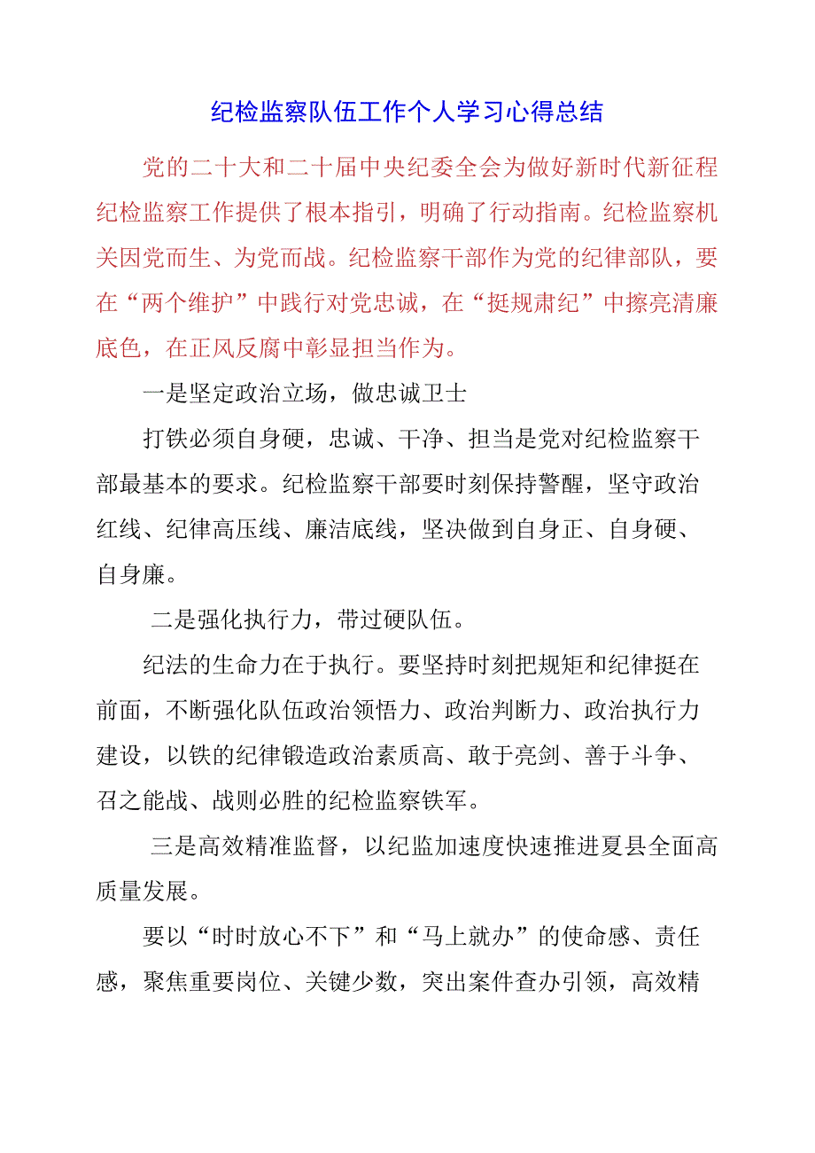 2023年纪检监察队伍工作个人学习心得总结.docx_第1页