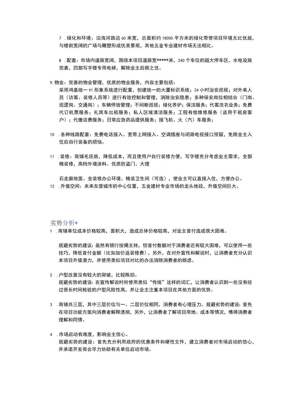 东营某商业地产项目策划书.docx_第2页