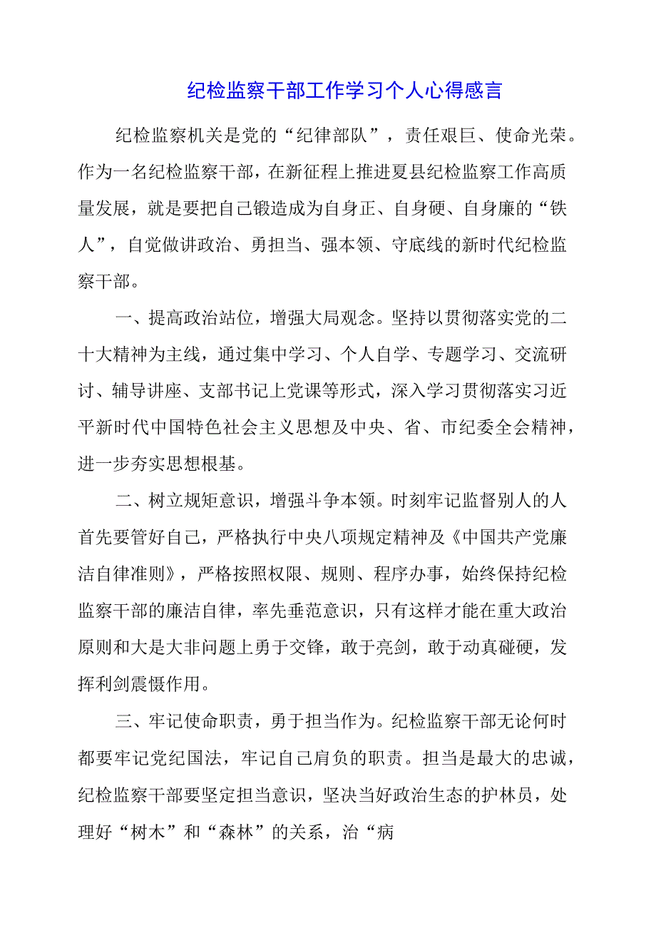 2023年纪检监察干部工作学习个人心得感言.docx_第1页