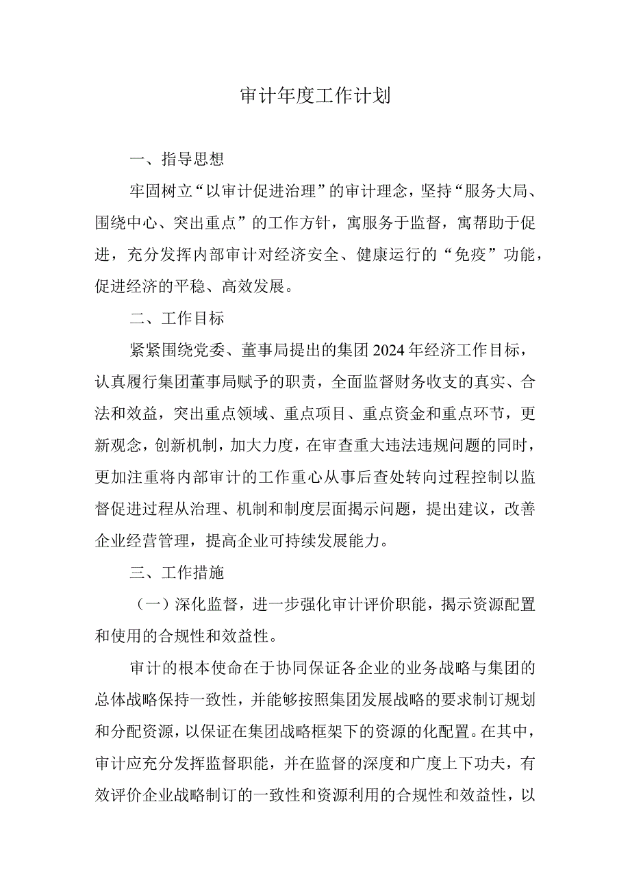 2024年审计年度工作计划.docx_第1页