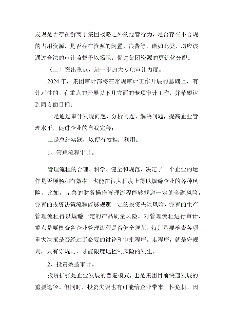 2024年审计年度工作计划.docx_第2页