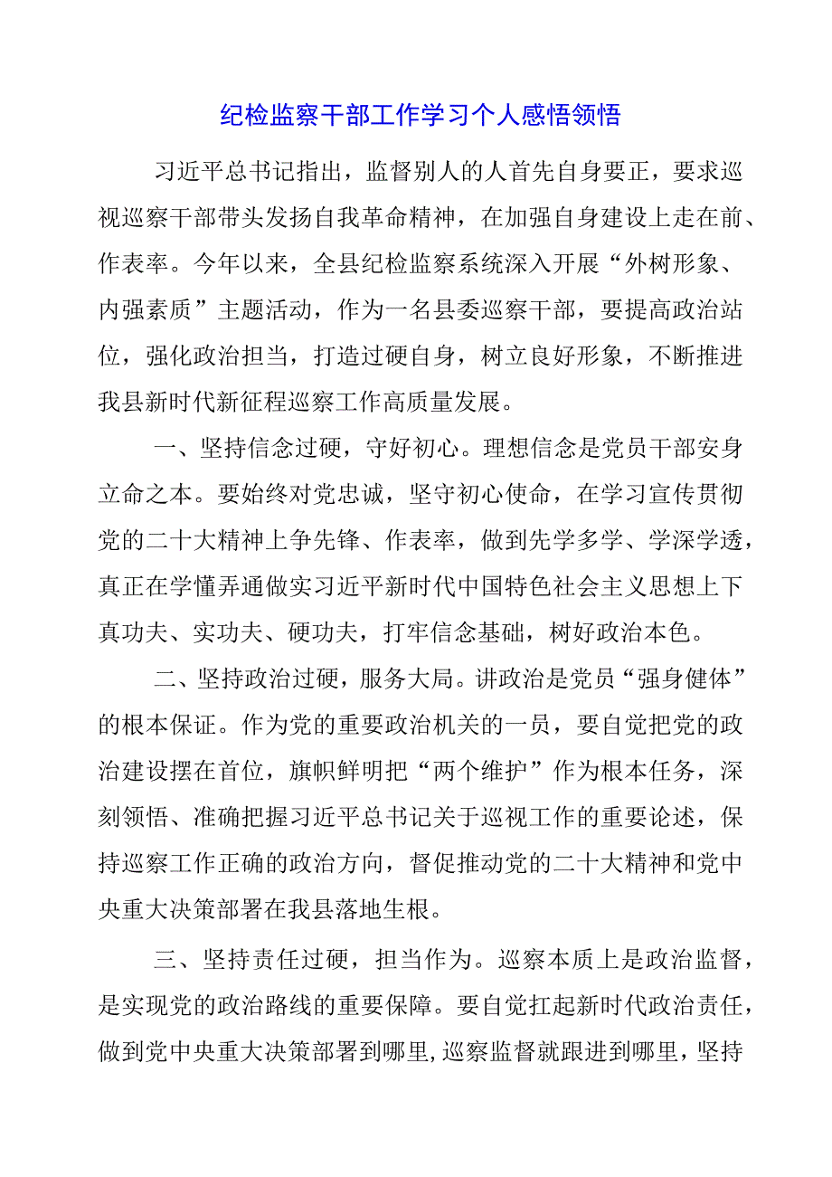 2023年纪检监察干部工作学习个人感悟领悟.docx_第1页