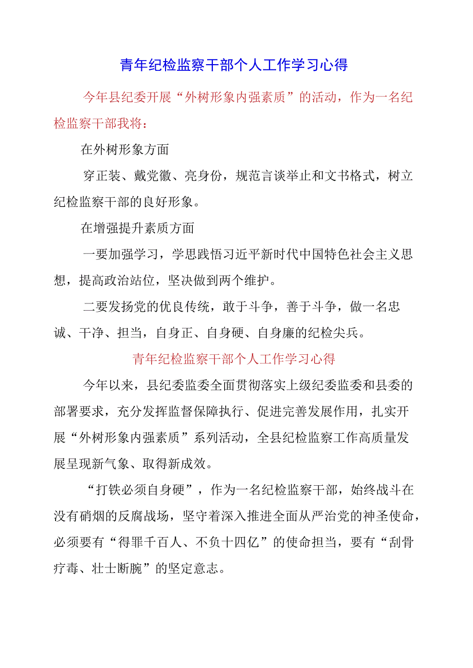 2023年青年纪检监察干部个人工作学习心得.docx_第1页