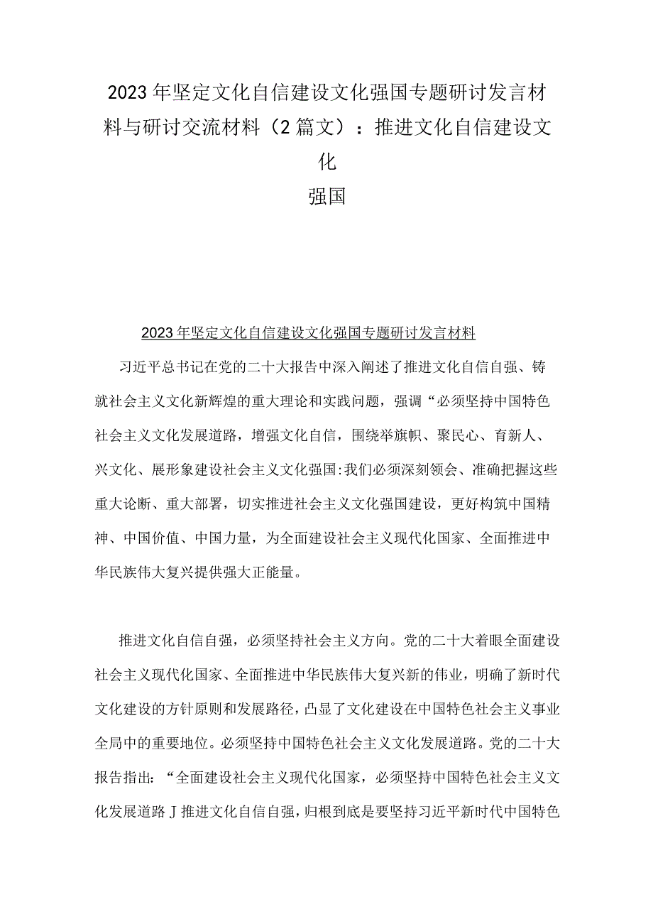 2023年坚定文化自信建设文化强国专题研讨发言材料与研讨交流材料（2篇文）：推进文化自信建设文化强国.docx_第1页