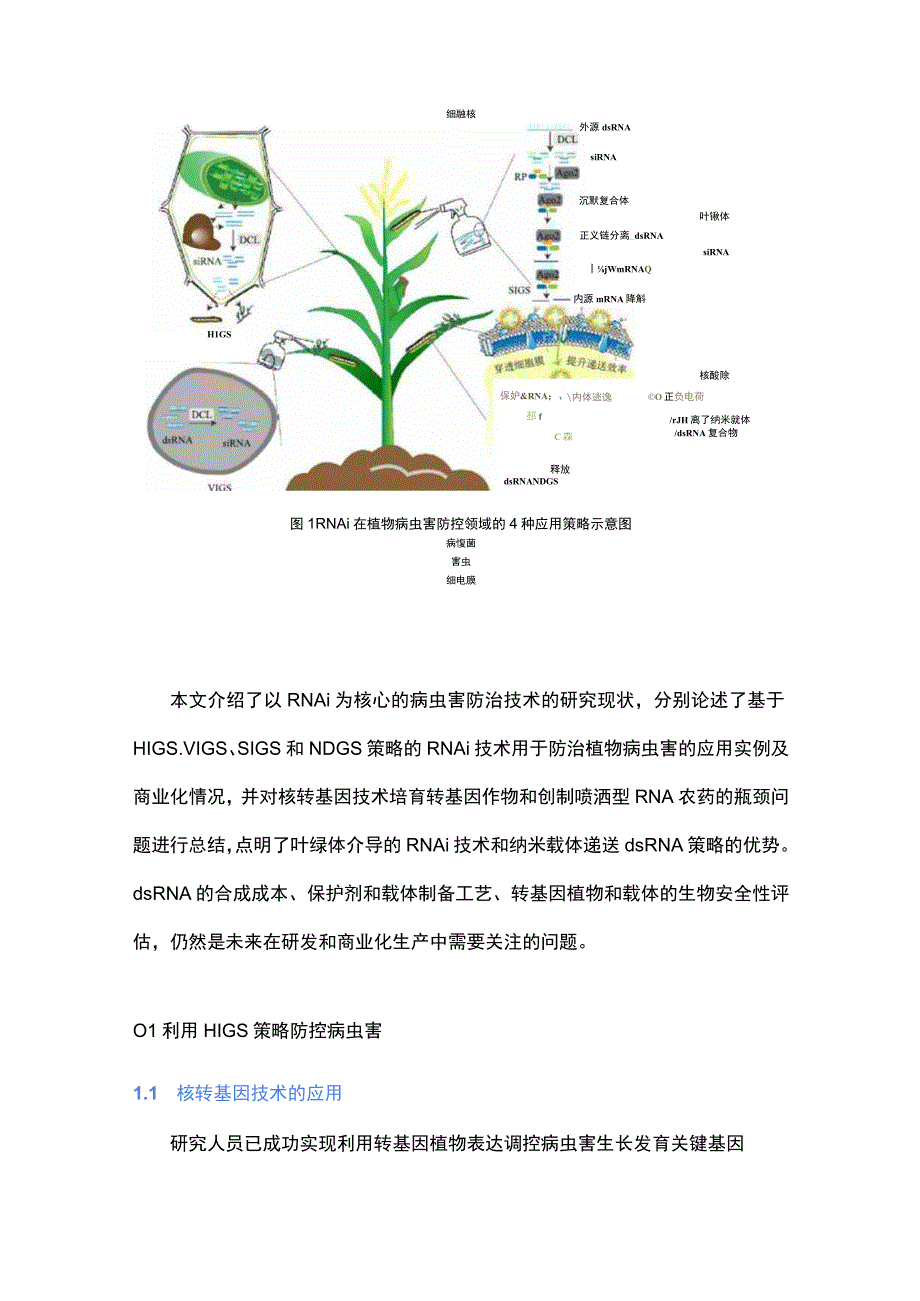 RNA农药的研究现状和发展前景.docx_第2页