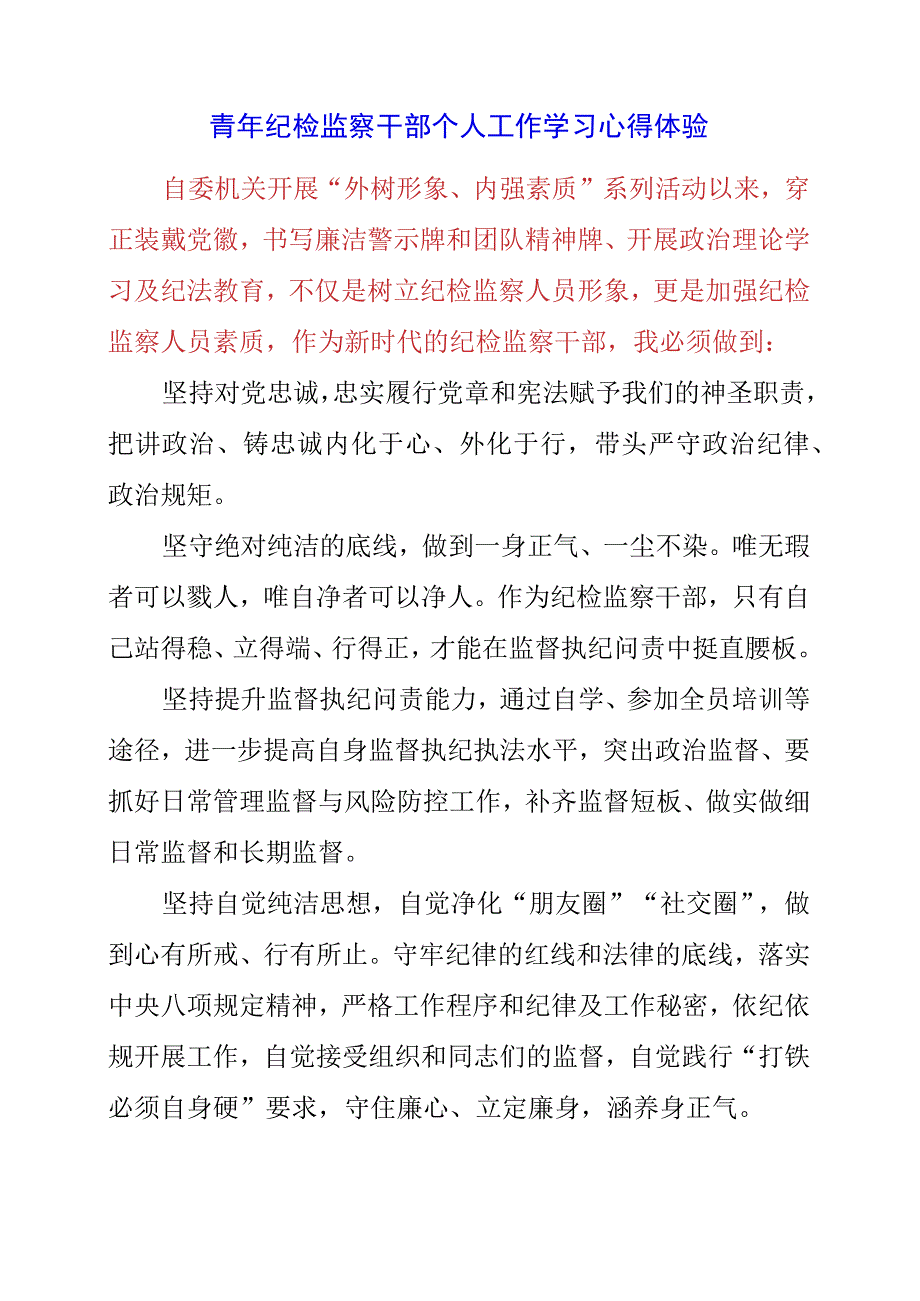 2023年青年纪检监察干部个人工作学习心得体验.docx_第1页