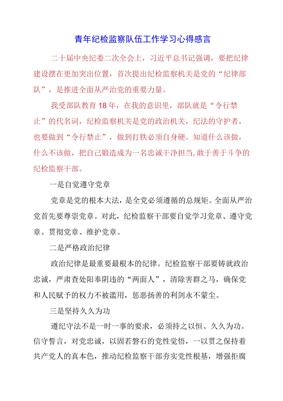 2023年青年纪检监察队伍工作学习心得感言.docx_第1页