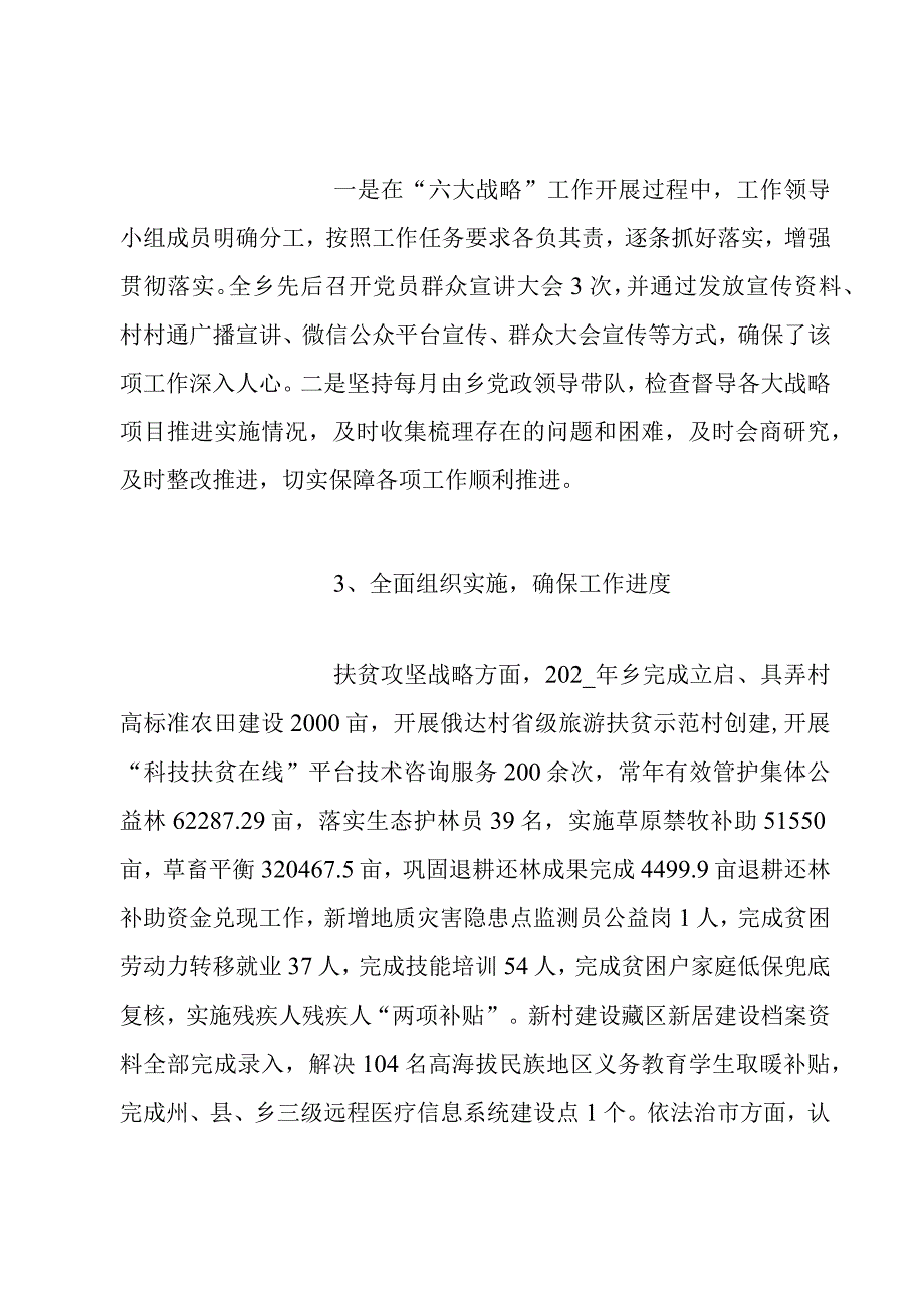 “六大战略”年度工作总结.docx_第2页