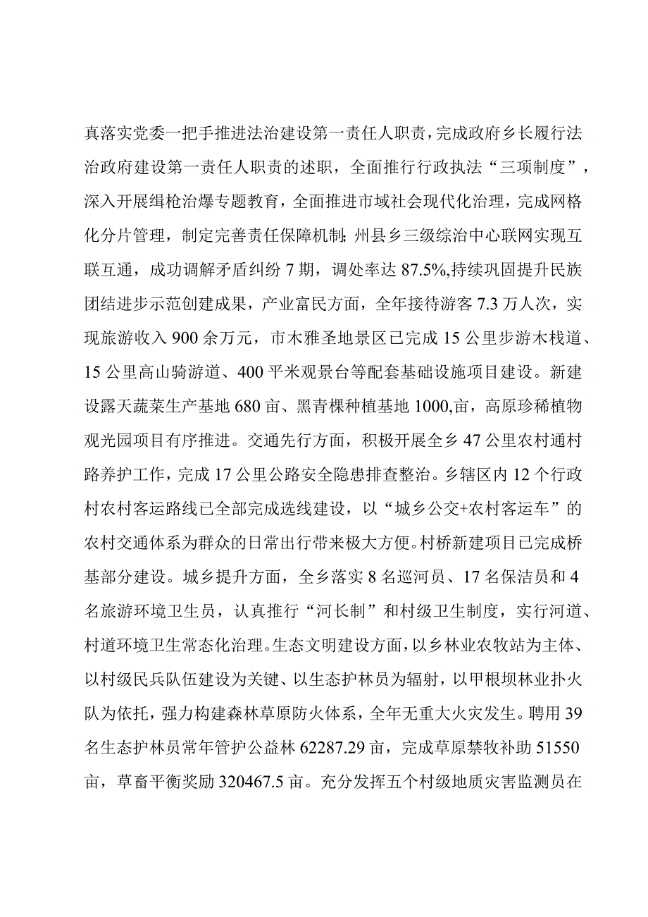 “六大战略”年度工作总结.docx_第3页