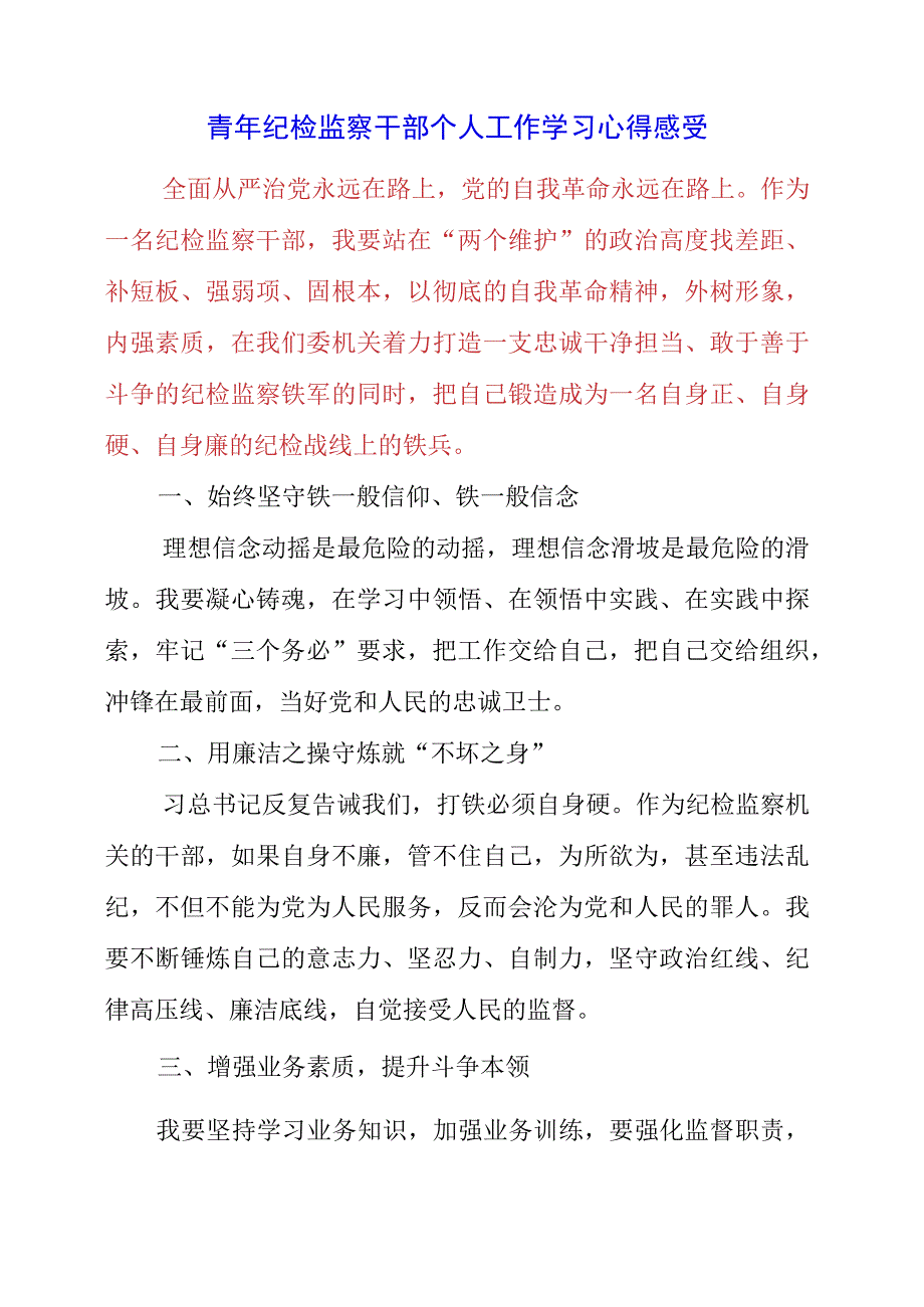 2023年青年纪检监察干部个人工作学习心得感受.docx_第1页