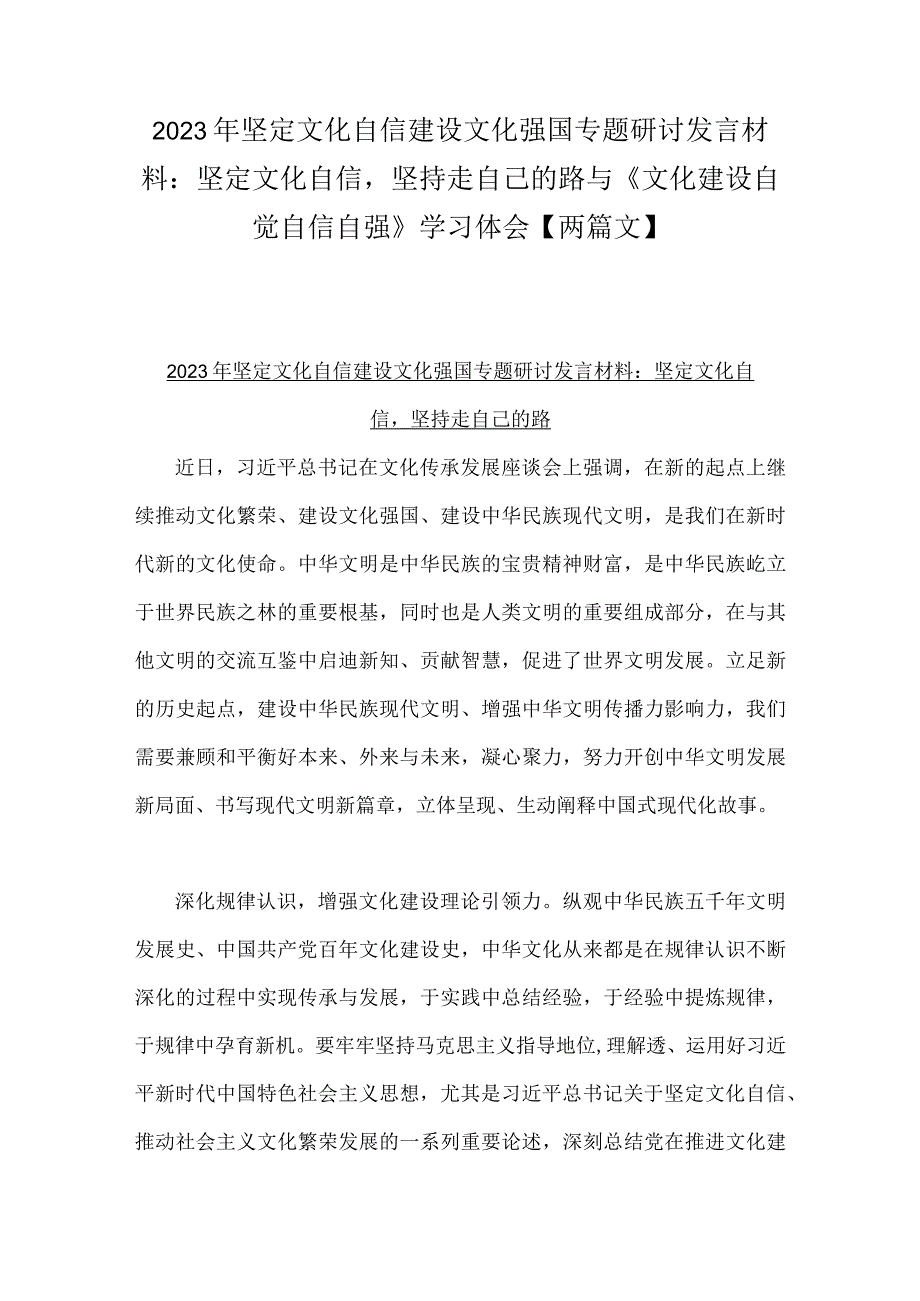 2023年坚定文化自信建设文化强国专题研讨发言材料：坚定文化自信坚持走自己的路与《文化建设自觉自信自强》学习体会【两篇文】.docx_第1页