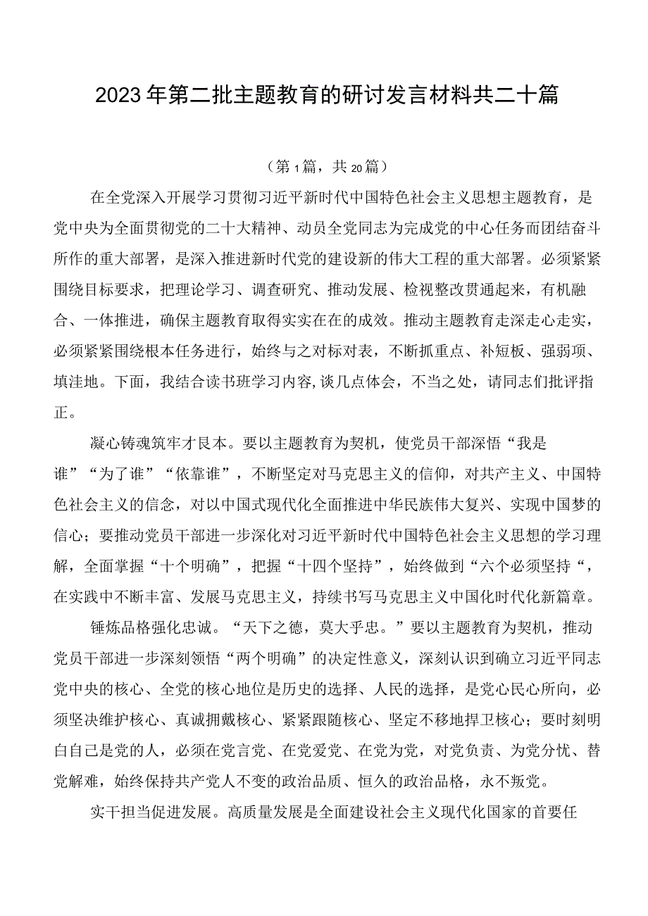 2023年第二批主题教育的研讨发言材料共二十篇.docx_第1页