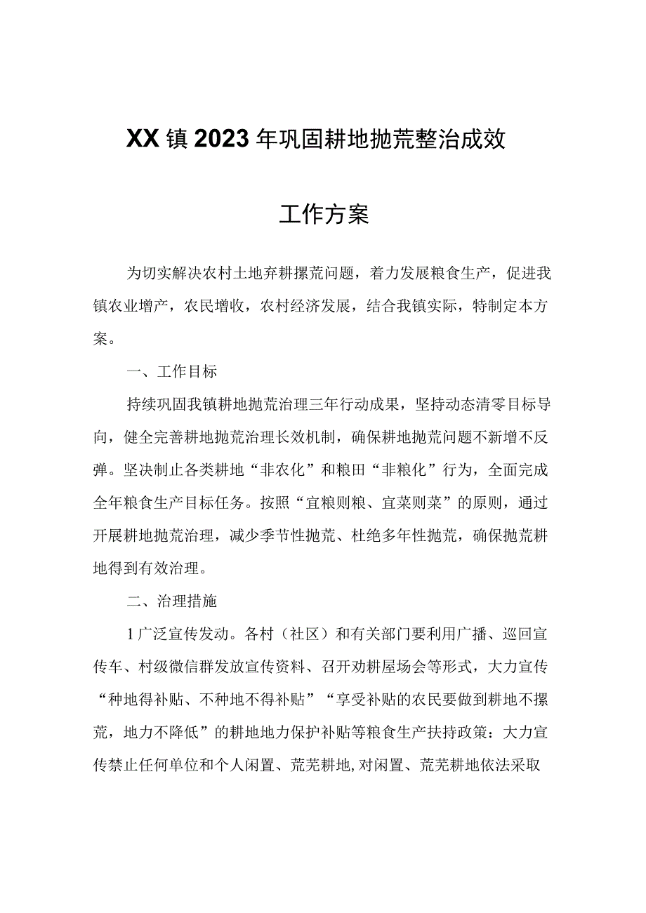 XX镇2023年巩固耕地抛荒整治成效工作方案.docx_第1页