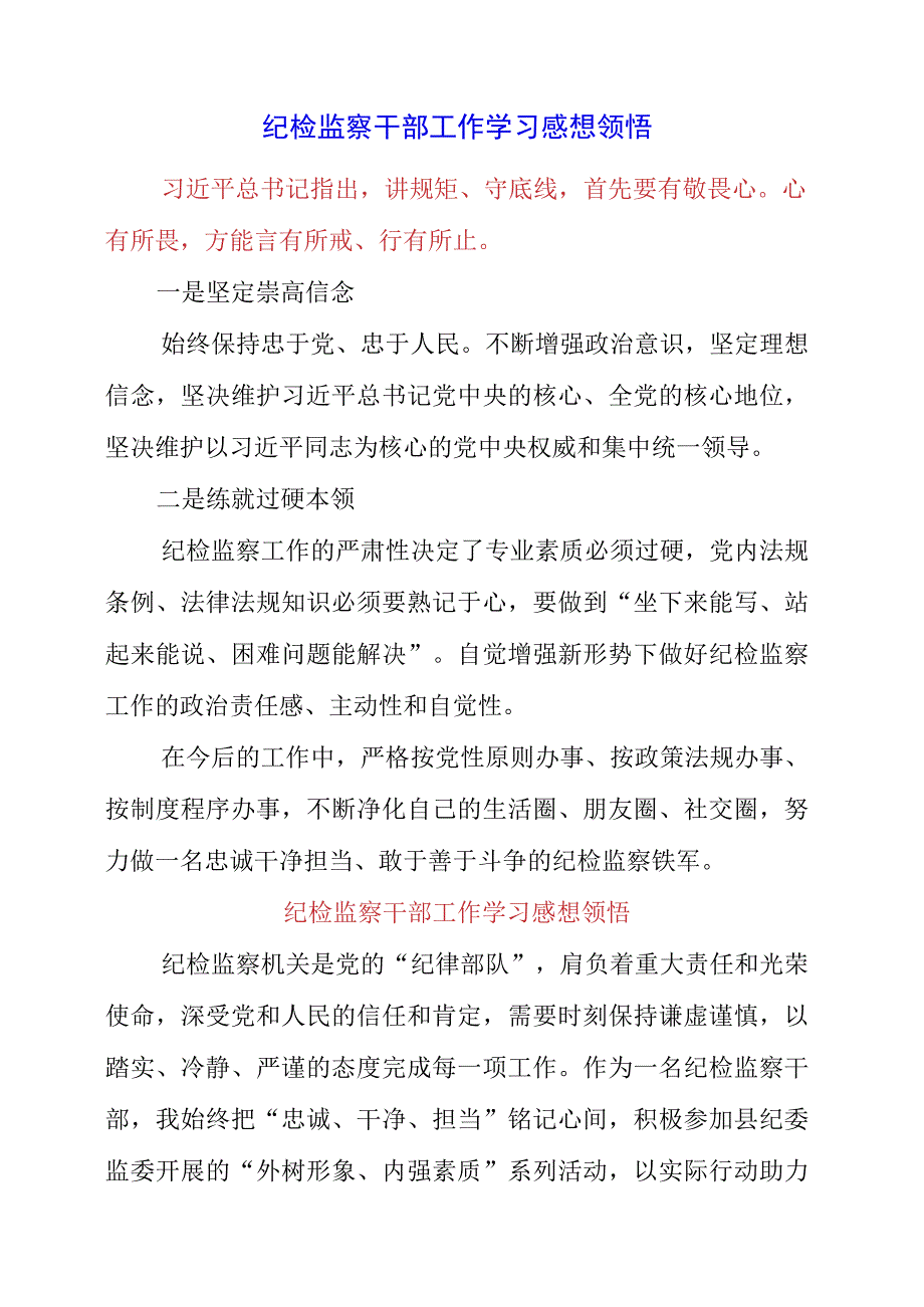 2023年纪检监察干部工作学习感想领悟.docx_第1页