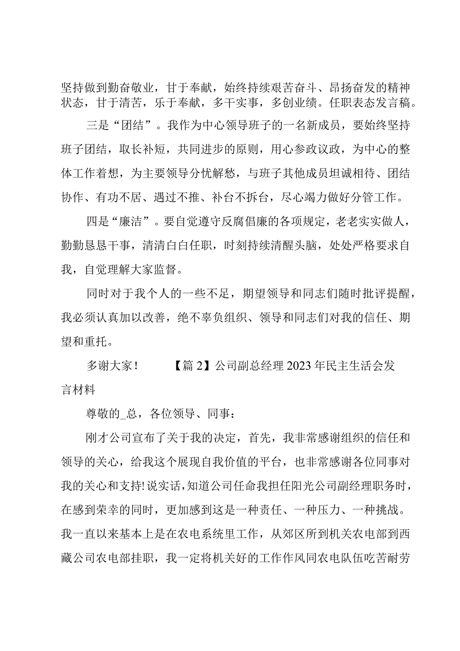 公司副总经理2023年民主生活会发言材料4篇.docx_第2页