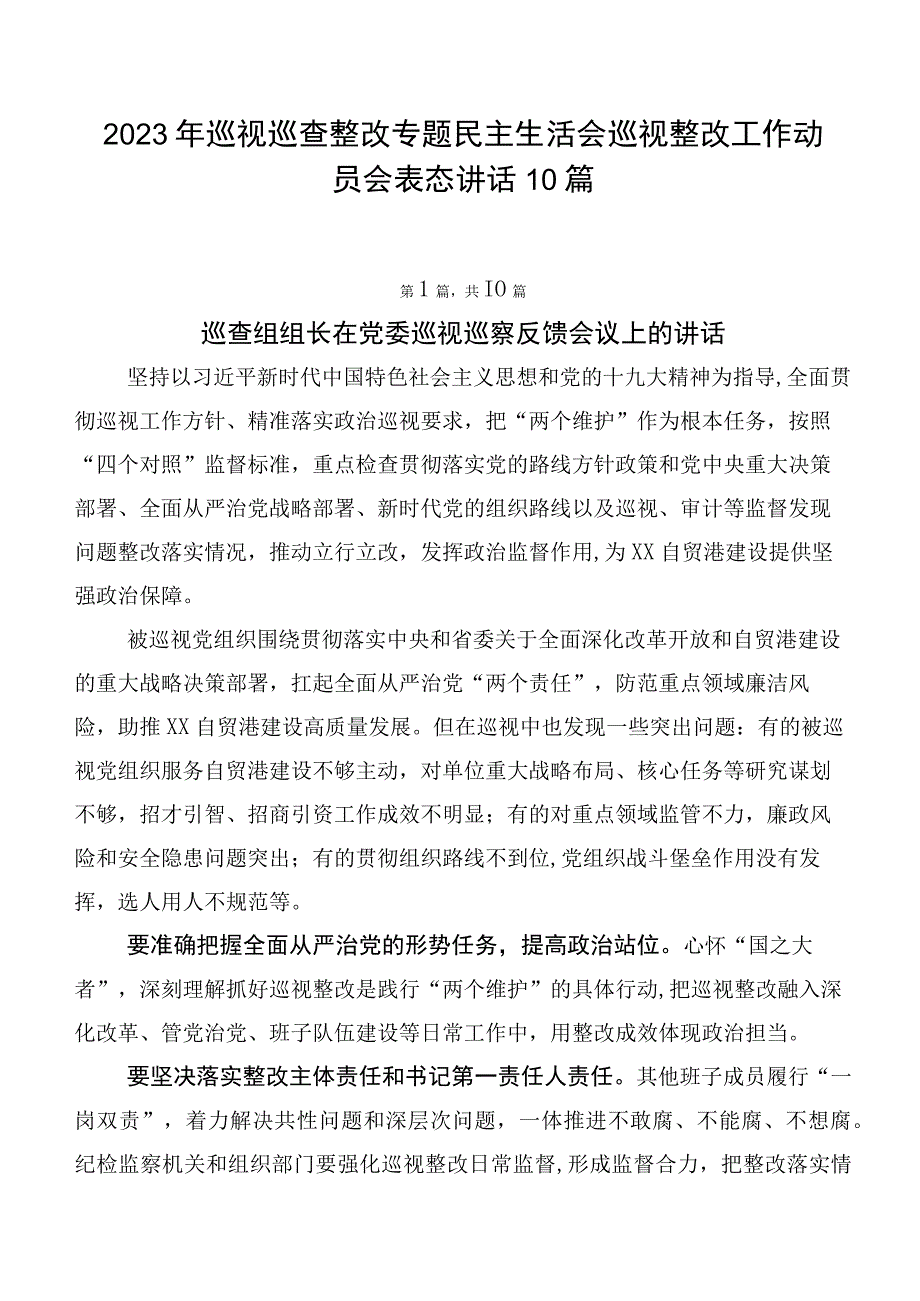 2023年巡视巡查整改专题民主生活会巡视整改工作动员会表态讲话10篇.docx_第1页