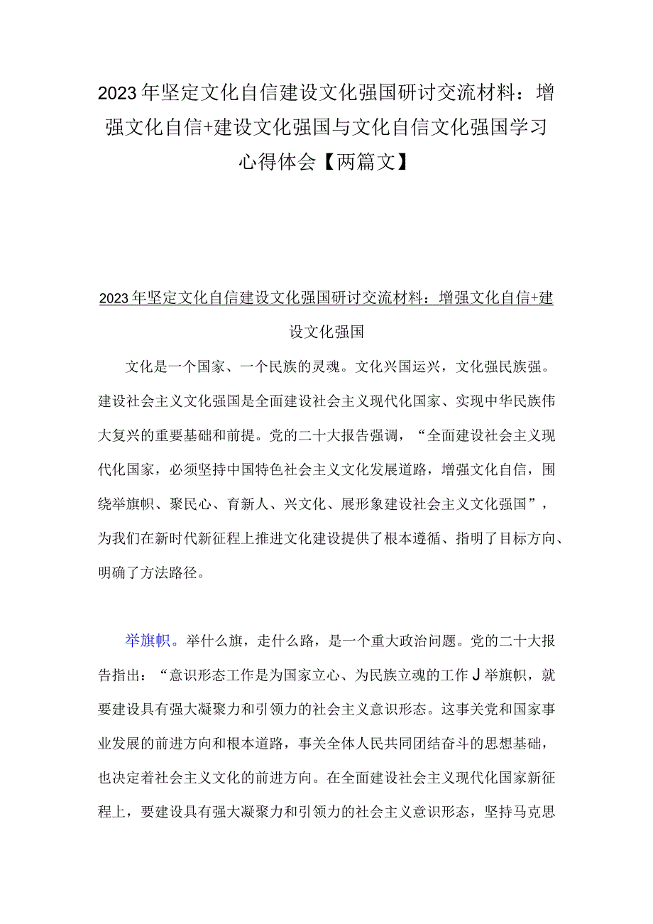 2023年坚定文化自信建设文化强国研讨交流材料：增强文化自信+建设文化强国与文化自信文化强国学习心得体会【两篇文】.docx_第1页