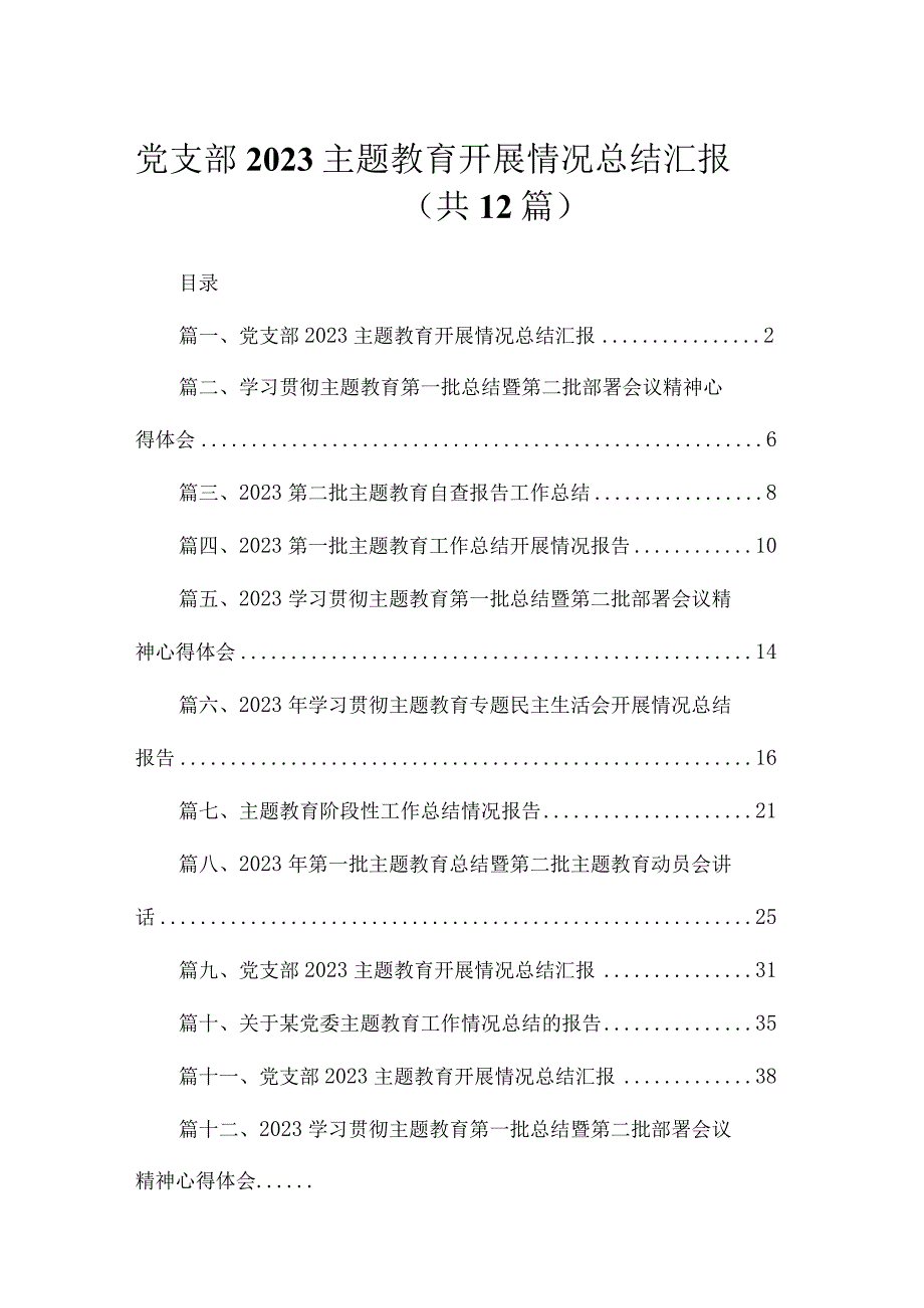 2023党支部主题教育开展情况总结汇报12篇（精编版）.docx_第1页