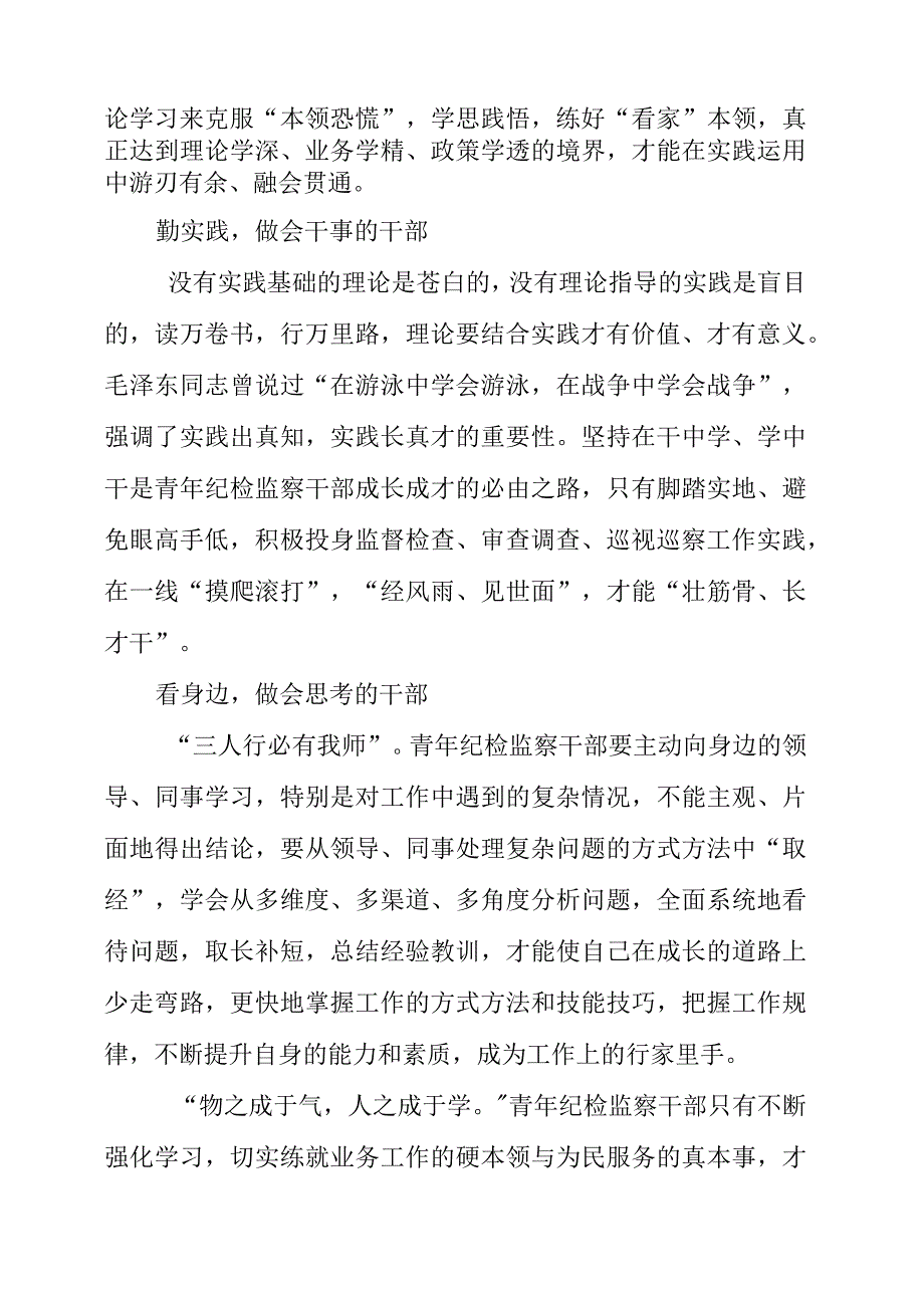 2023年纪检工作心得《要做“三会”青年纪检监察干部》.docx_第2页