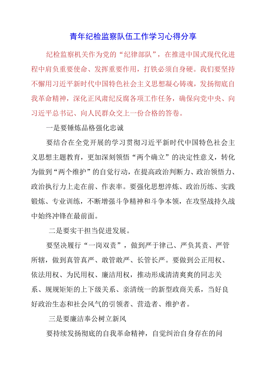 2023年青年纪检监察队伍工作学习心得分享.docx_第1页