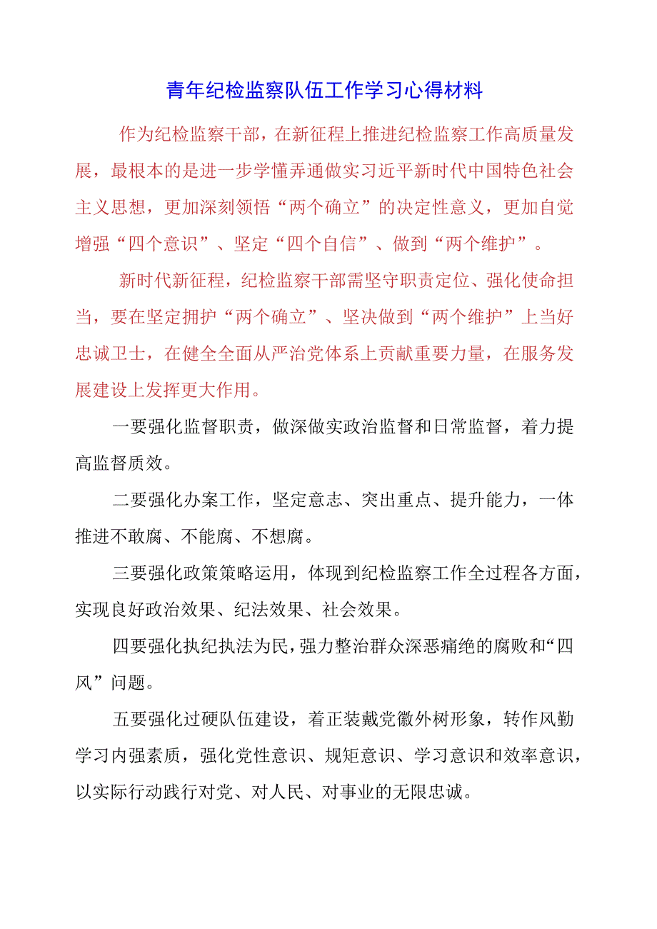 2023年青年纪检监察队伍工作学习心得材料.docx_第1页