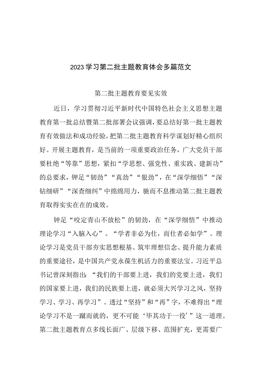 2023学习第二批主题教育体会多篇范文.docx_第1页