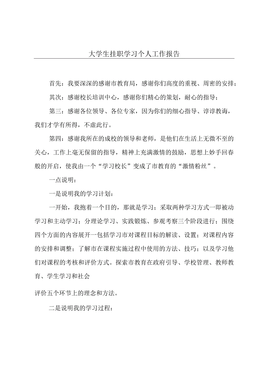 大学生挂职学习个人工作报告.docx_第1页