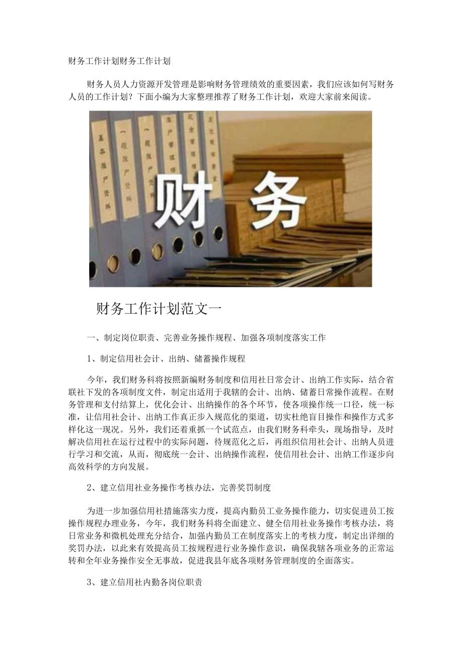 财务工作计划.docx_第1页