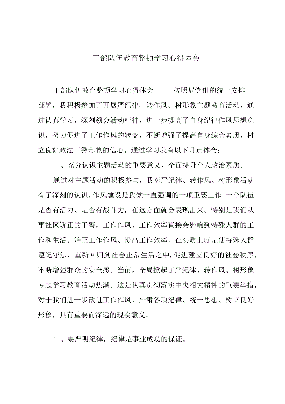 干部队伍教育整顿学习心得体会.docx_第1页