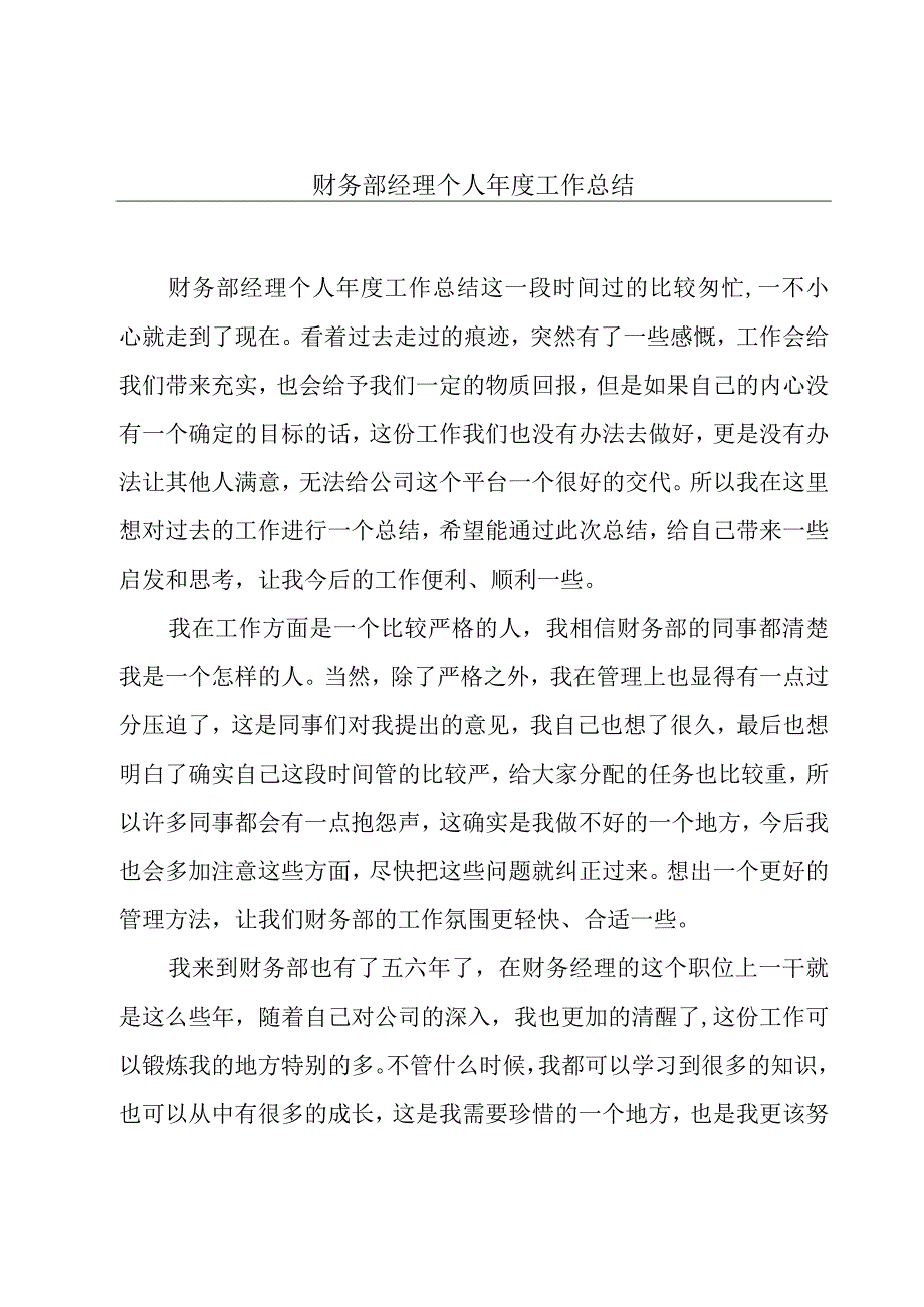 财务部经理个人年度工作总结.docx_第1页