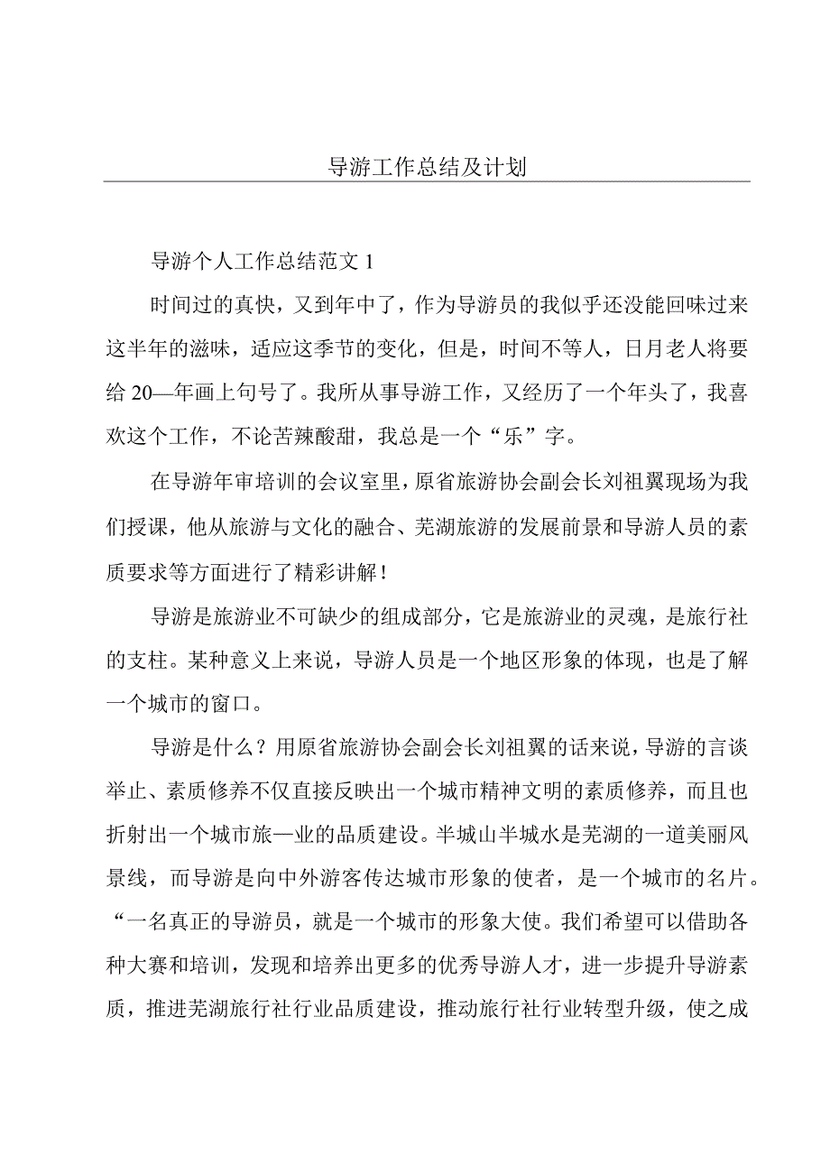 导游工作总结及计划.docx_第1页