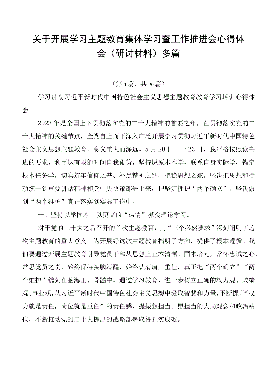 关于开展学习主题教育集体学习暨工作推进会心得体会（研讨材料）多篇.docx_第1页