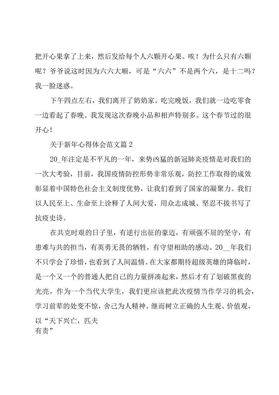 关于新年心得体会范文（15篇）.docx_第2页