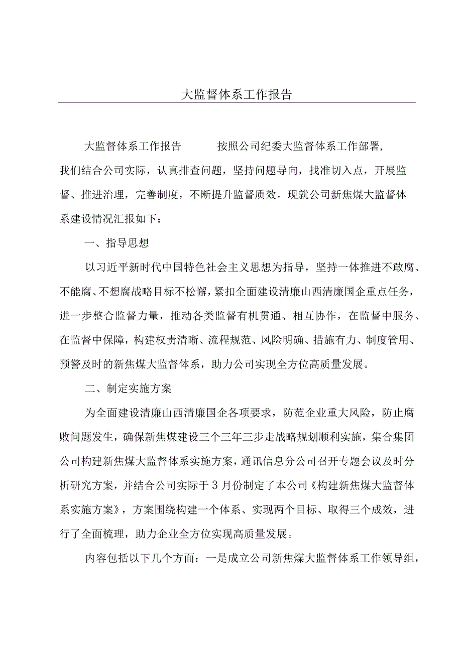 大监督体系工作报告.docx_第1页