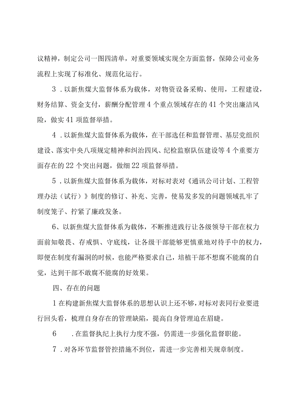 大监督体系工作报告.docx_第3页