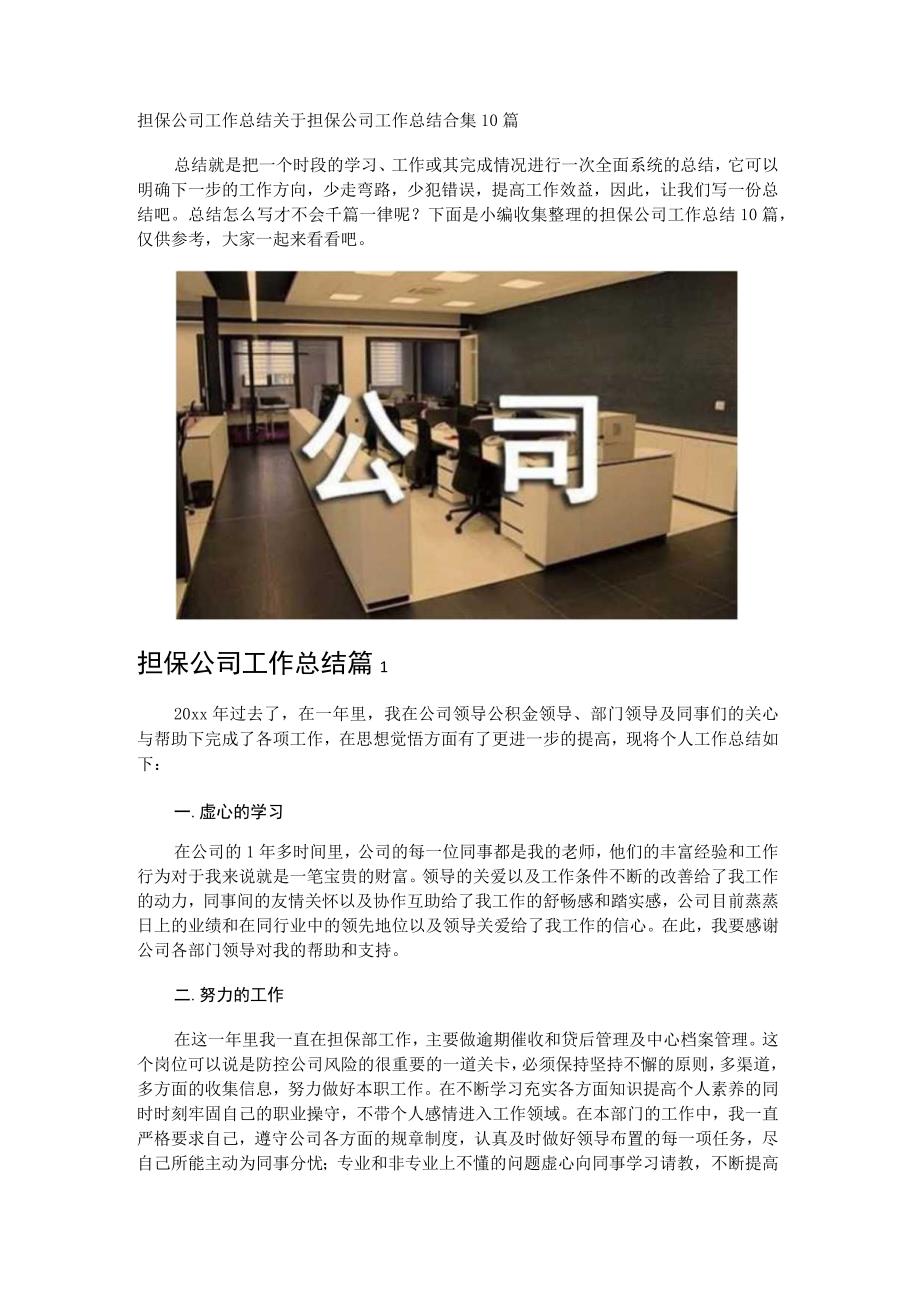 担保公司工作总结.docx_第1页