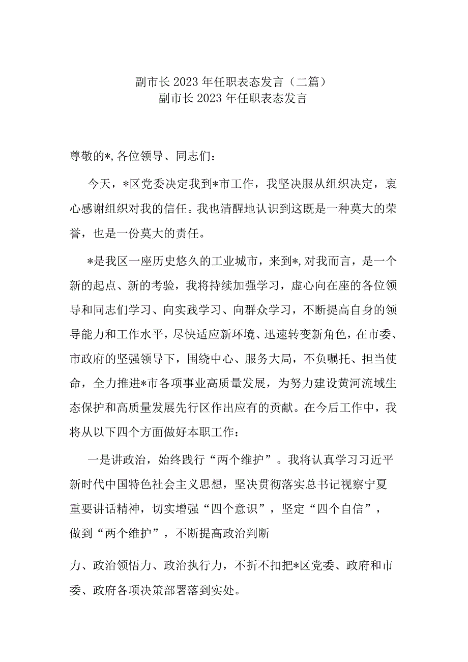 副市长2023年任职表态发言(二篇).docx_第1页