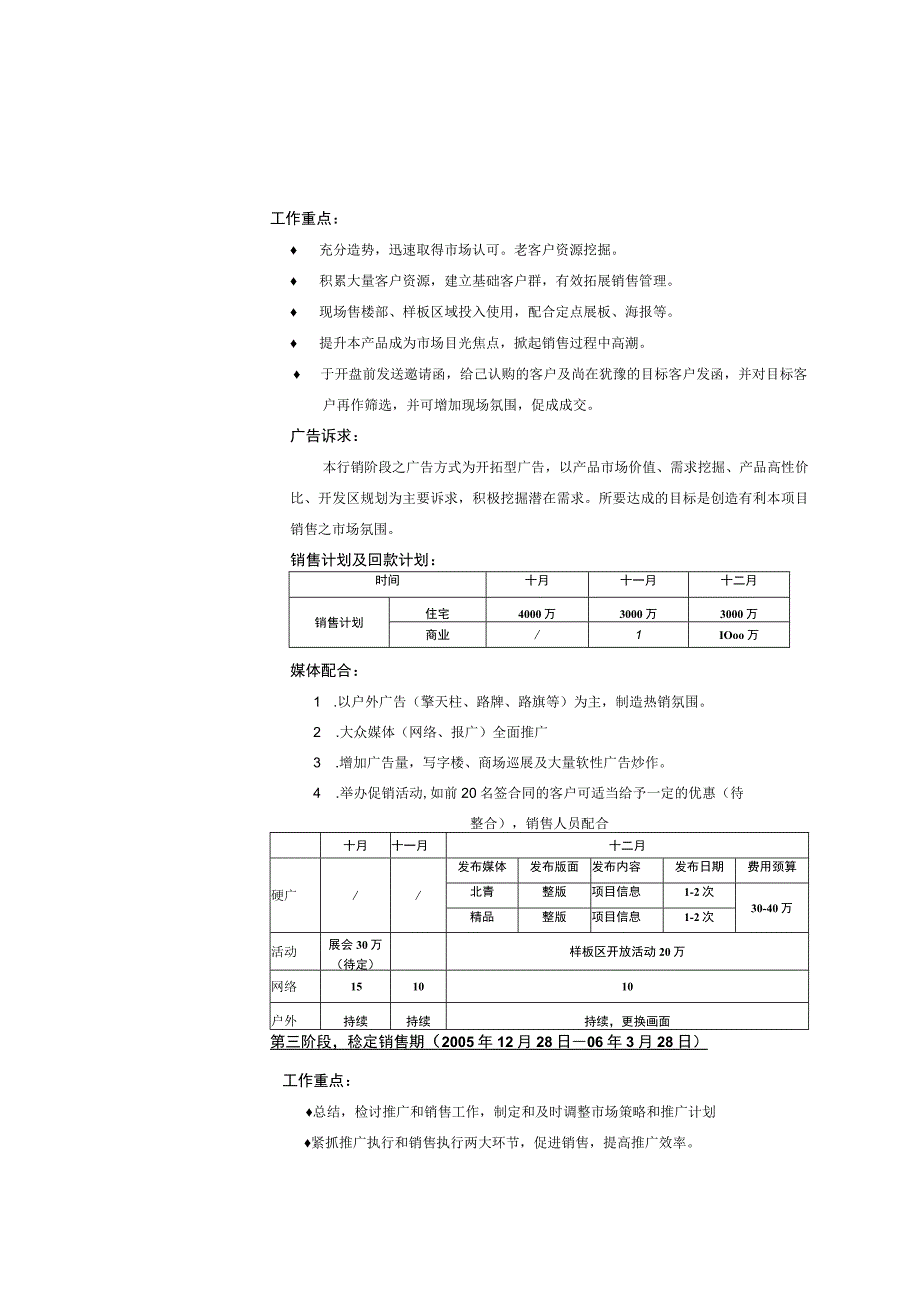 北京亦庄中央公馆项目营销计划.docx_第3页