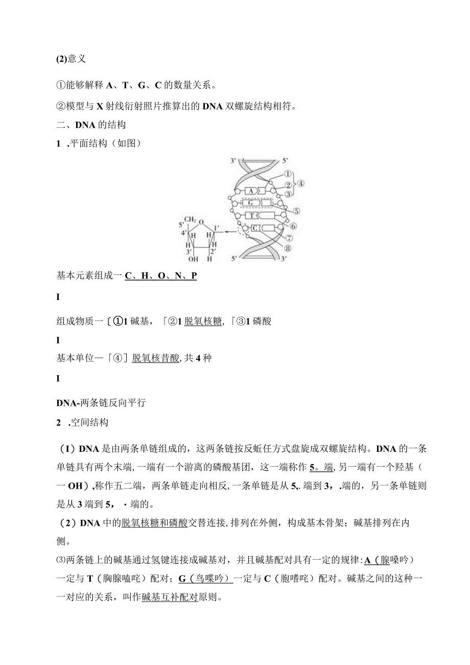 2023-2024学年 人教版 必修二 DNA的结构 学案.docx_第2页