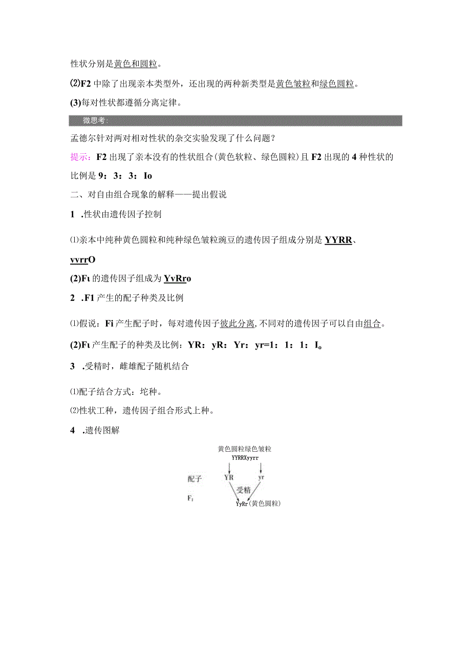 2023-2024学年 人教版 必修二 两对相对性状的杂交实验与对自由组合现象的解释和验证 学案.docx_第2页