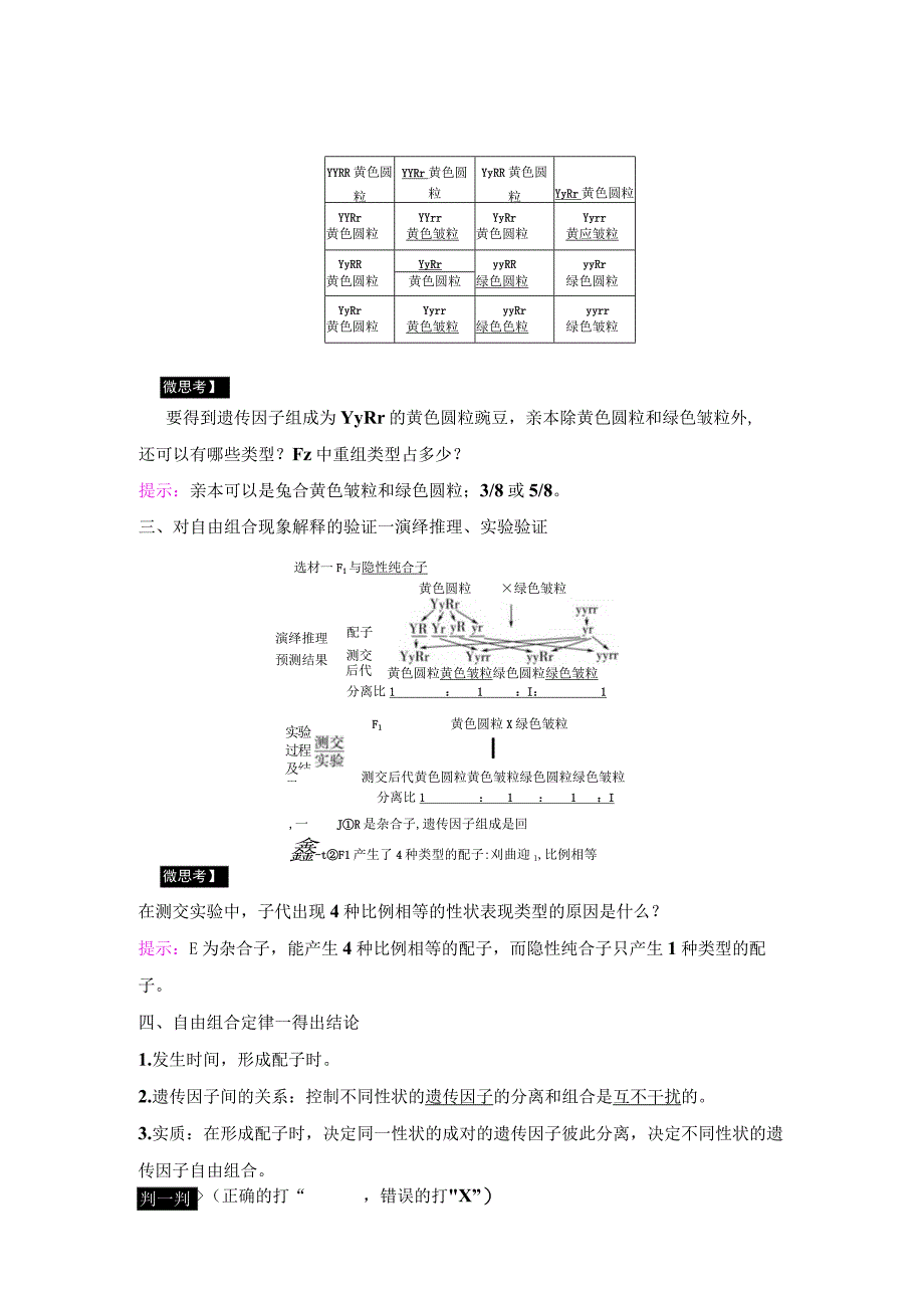 2023-2024学年 人教版 必修二 两对相对性状的杂交实验与对自由组合现象的解释和验证 学案.docx_第3页