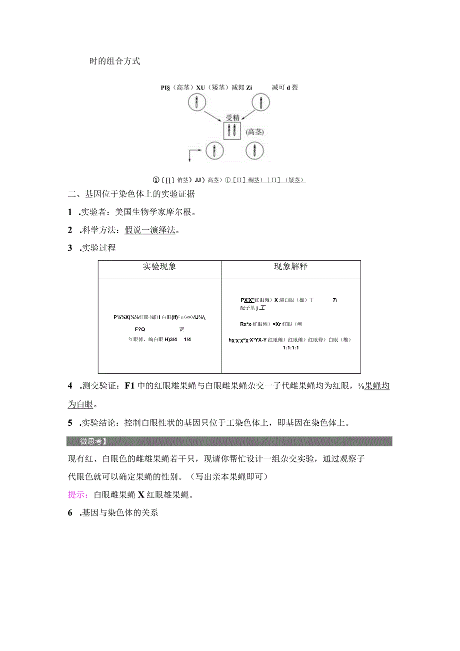 2023-2024学年 人教版 必修二 基因在染色体上 学案.docx_第2页